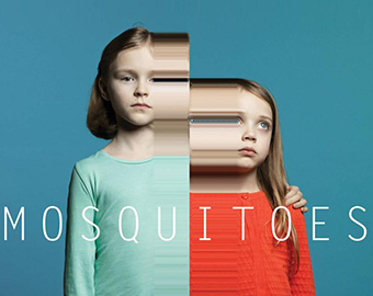 Mosquitoes