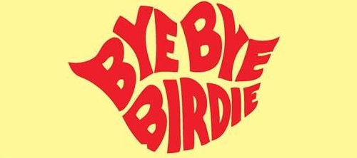 Bye Bye Birdie