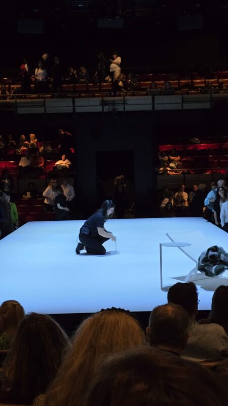 🎭 "The Lady from the Sea" (Bridge Theatre) 20251017 204134