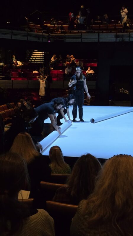 🎭 "The Lady from the Sea" (Bridge Theatre) 20251017 204312