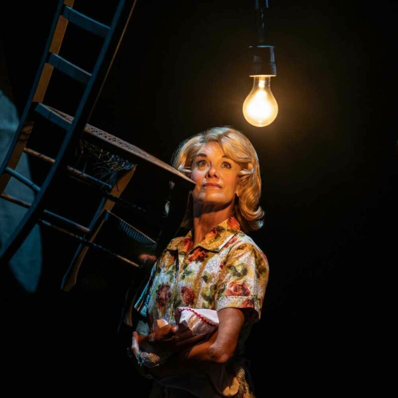 🎭 "Entertaining Mr Sloane" (Young Vic) 68ff988544567215951j